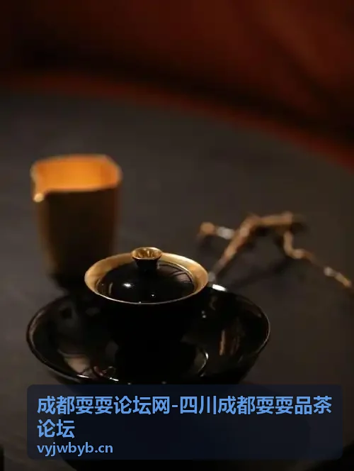 成都耍耍论坛品茶交流区